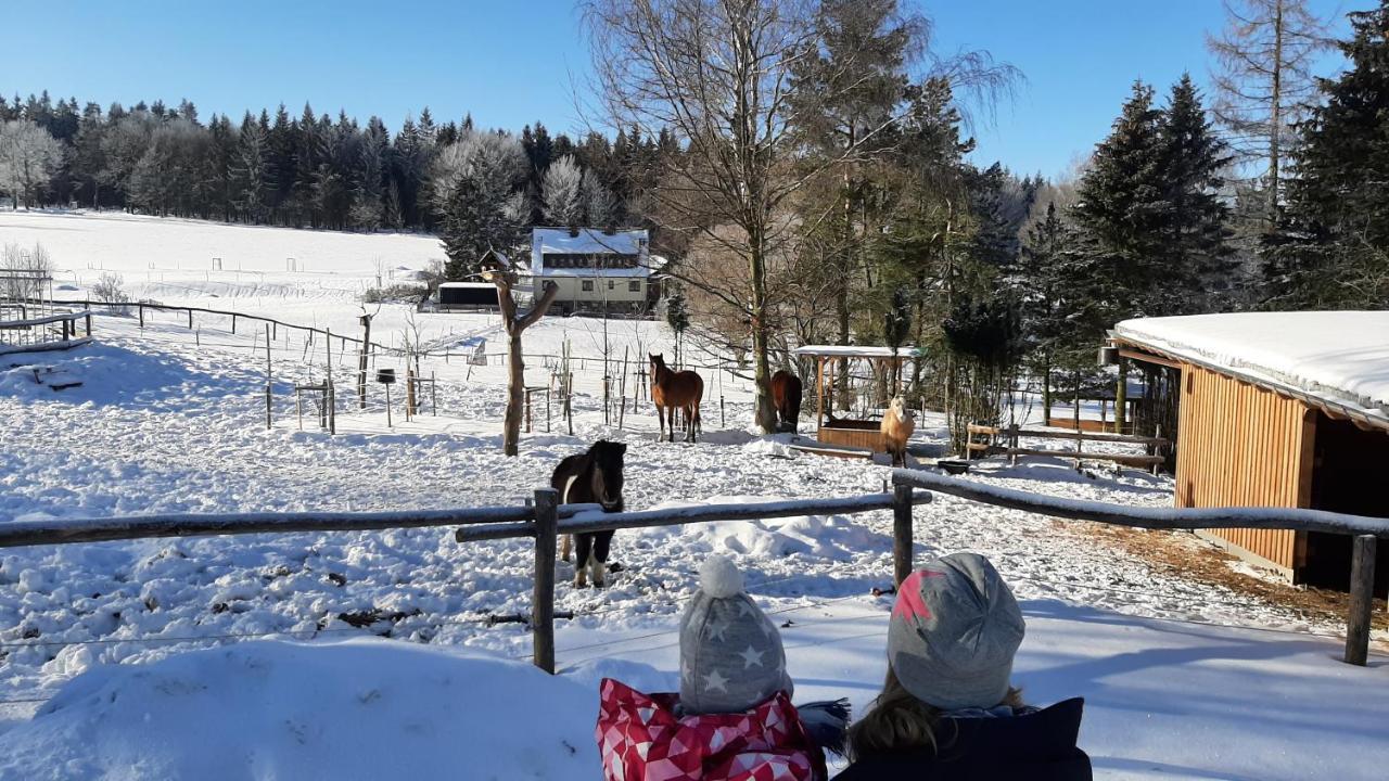 "Sporthuetten Nassau" Ihr Zentrales Domizil An Der Blockline Rechenberg-Bienenmühle Eksteriør bilde